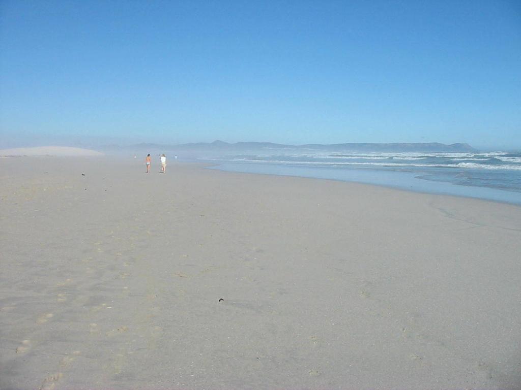 Snails' End Cottage Hermanus Exteriör bild
